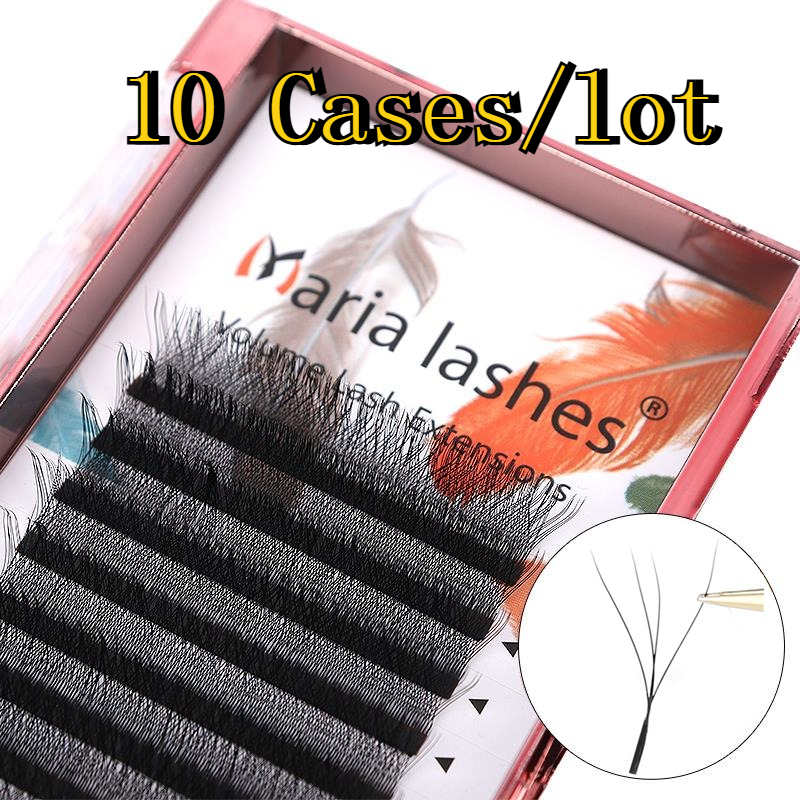 Eyelash Extension Logo - MARIA 10 Cases 4D W Shaped