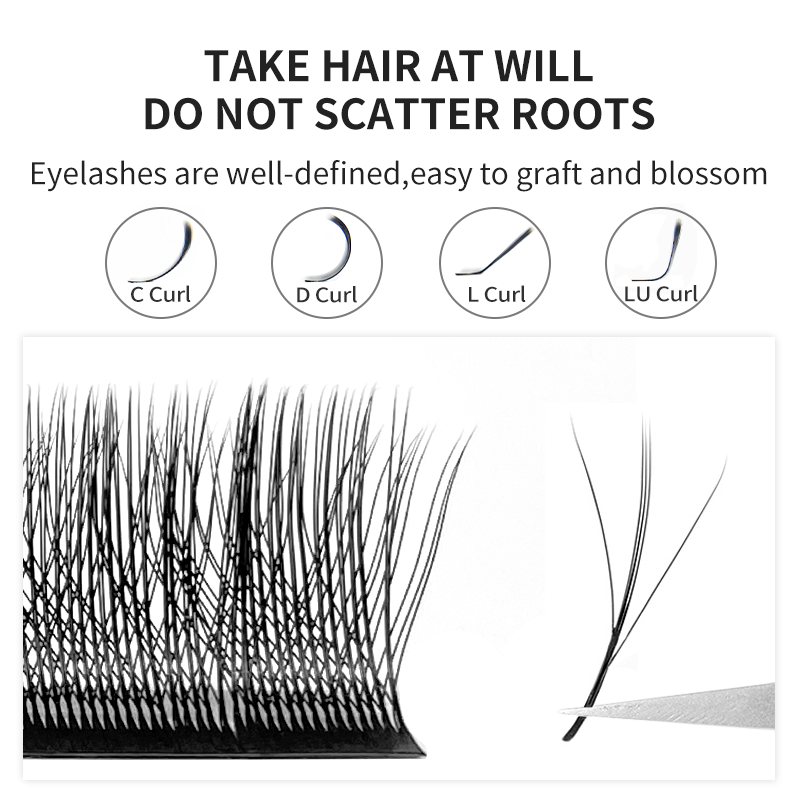 NATUHANA 3D W Shaped (2.0) Sof - Eyelash Extension Logo 리뷰 및 가격