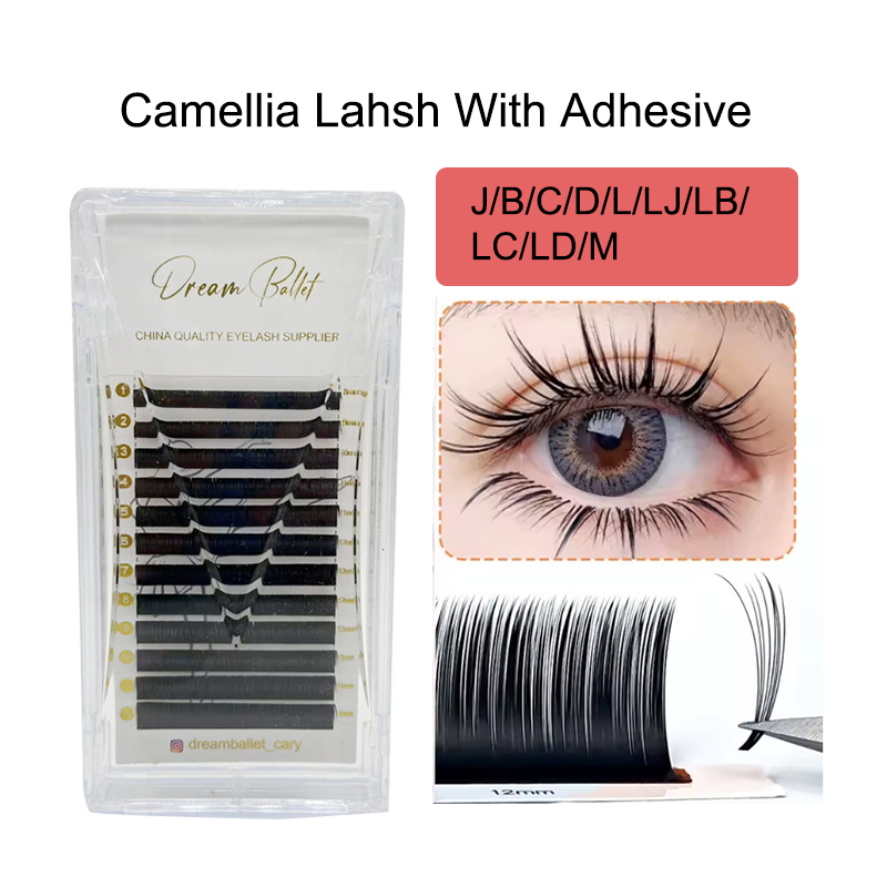dream ballet Camellia Lashes w - Eyelash Extension Russian 리뷰 및 가격