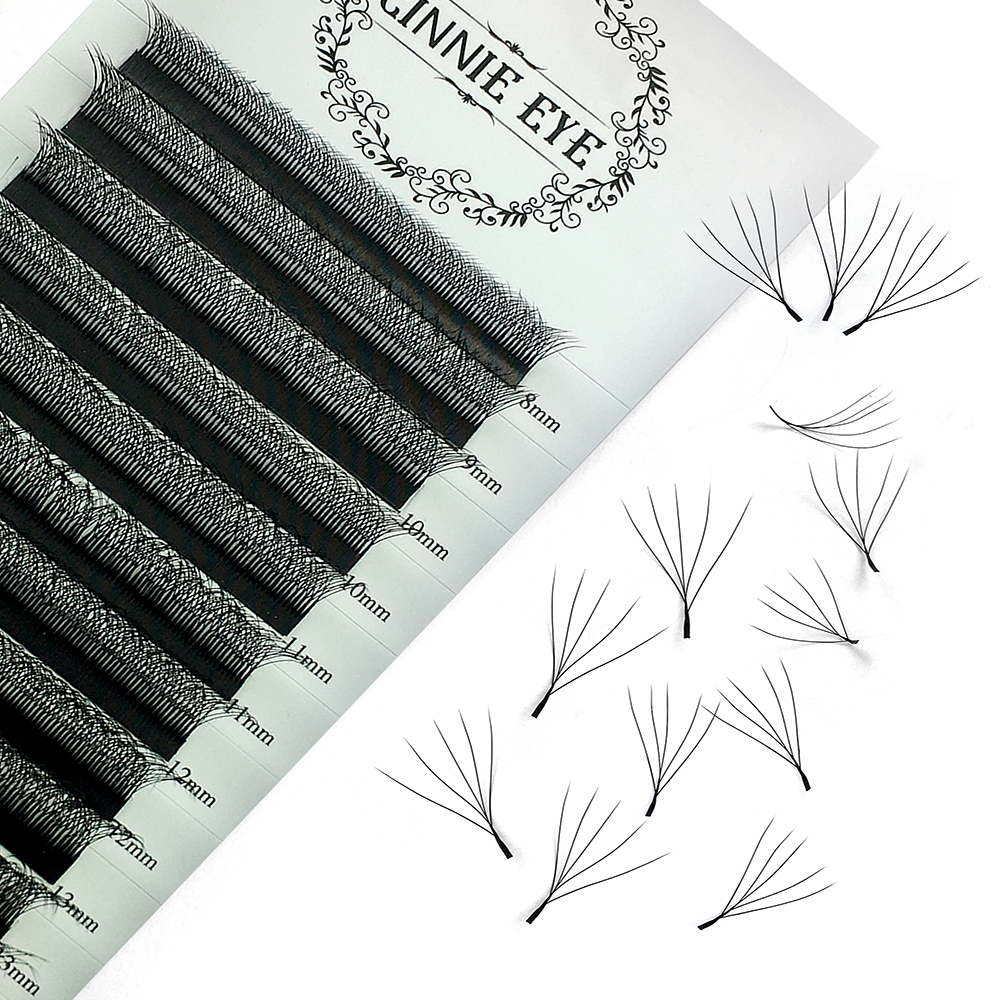 6DW Lash Extensions 5DW Premad - Eyelash Extension Logo 리뷰 및 가격
