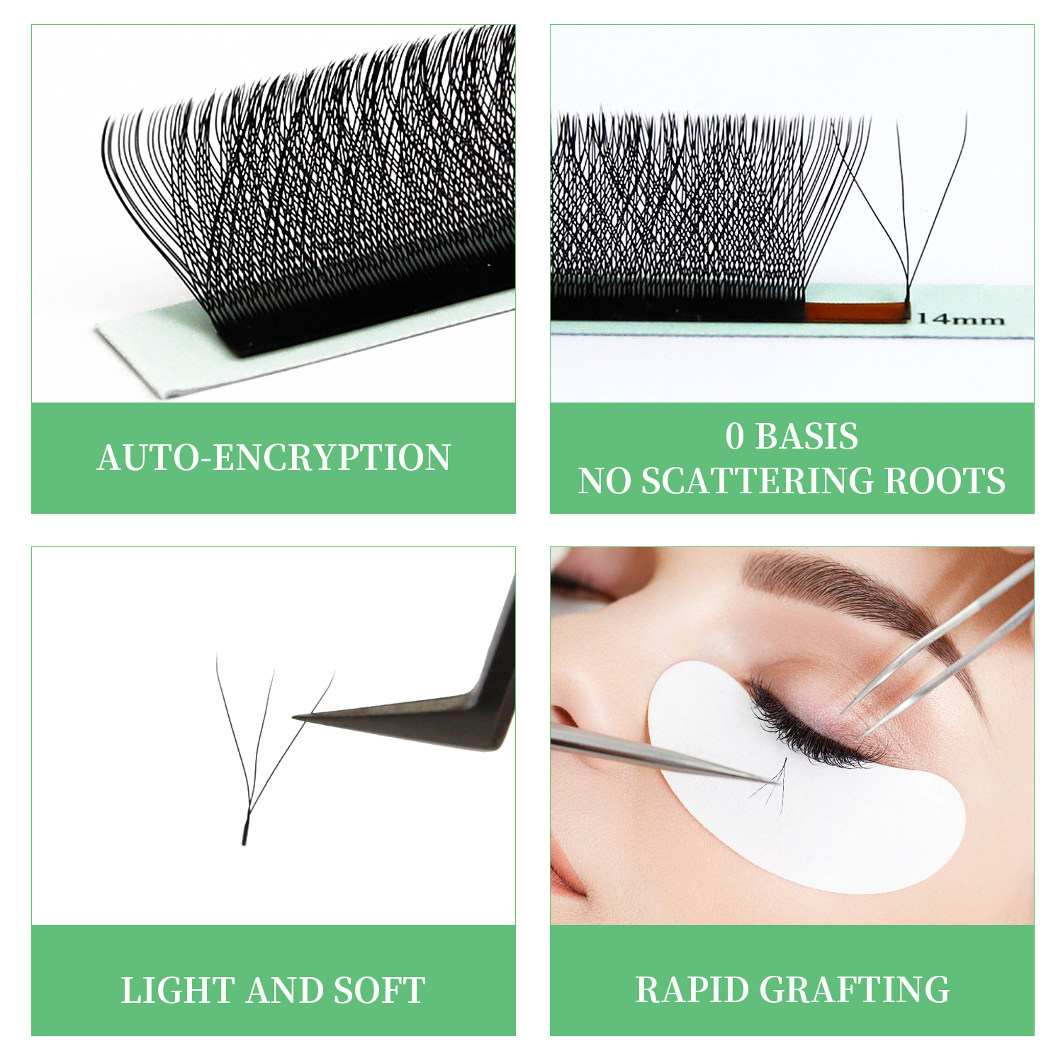 6DW Lash Extensions 5DW Premad - Eyelash Extension Logo 리뷰 및 가격