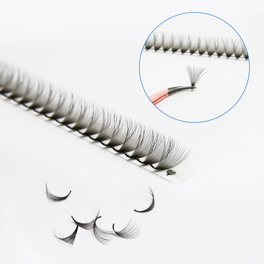 JB Jeyelabeau 6D 10D 20D 30D P - Eyelash Extension Russian 리뷰 및 가격