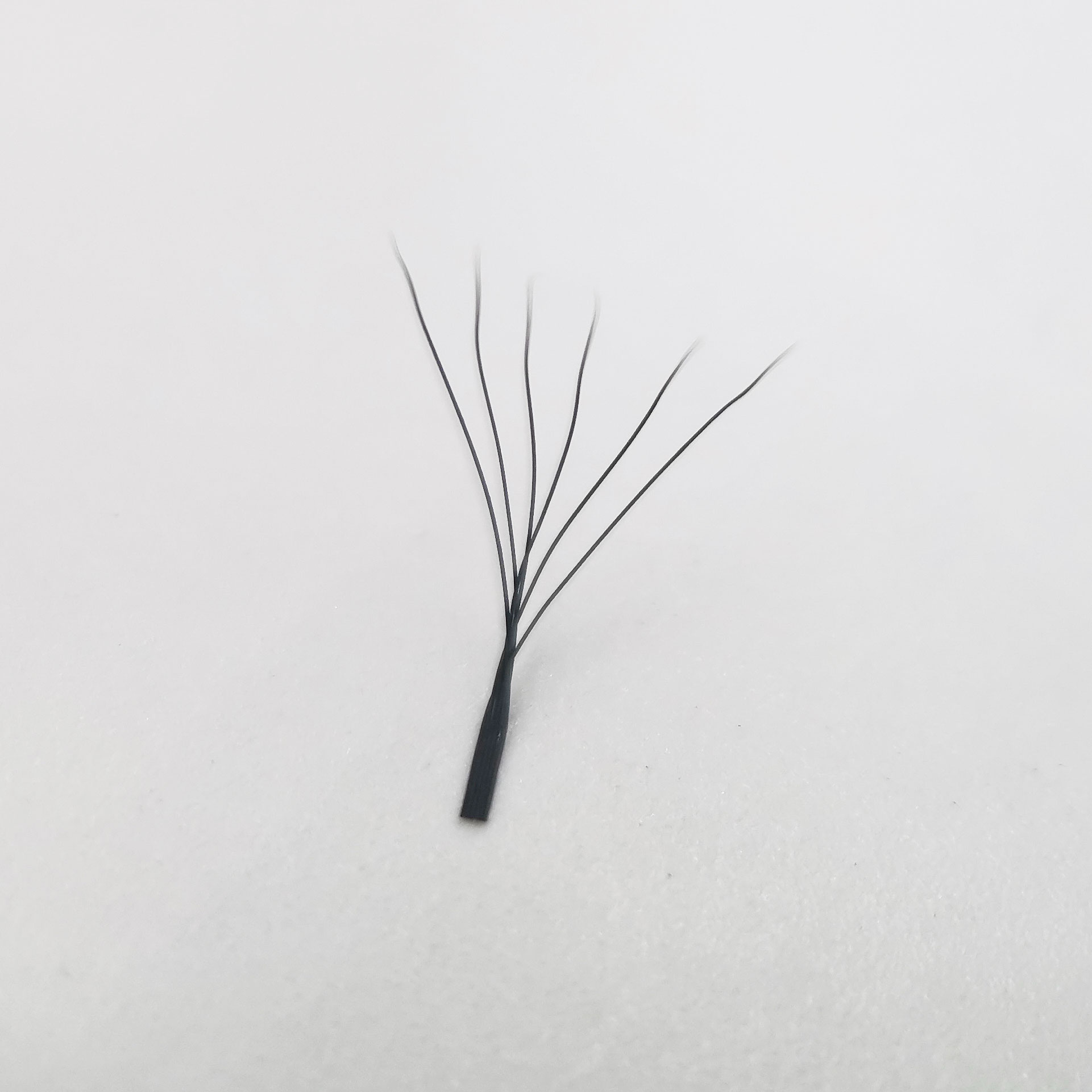 WeenWeave 6D W Style Eyelash E - Eyelash Extension Logo 리뷰 및 가격