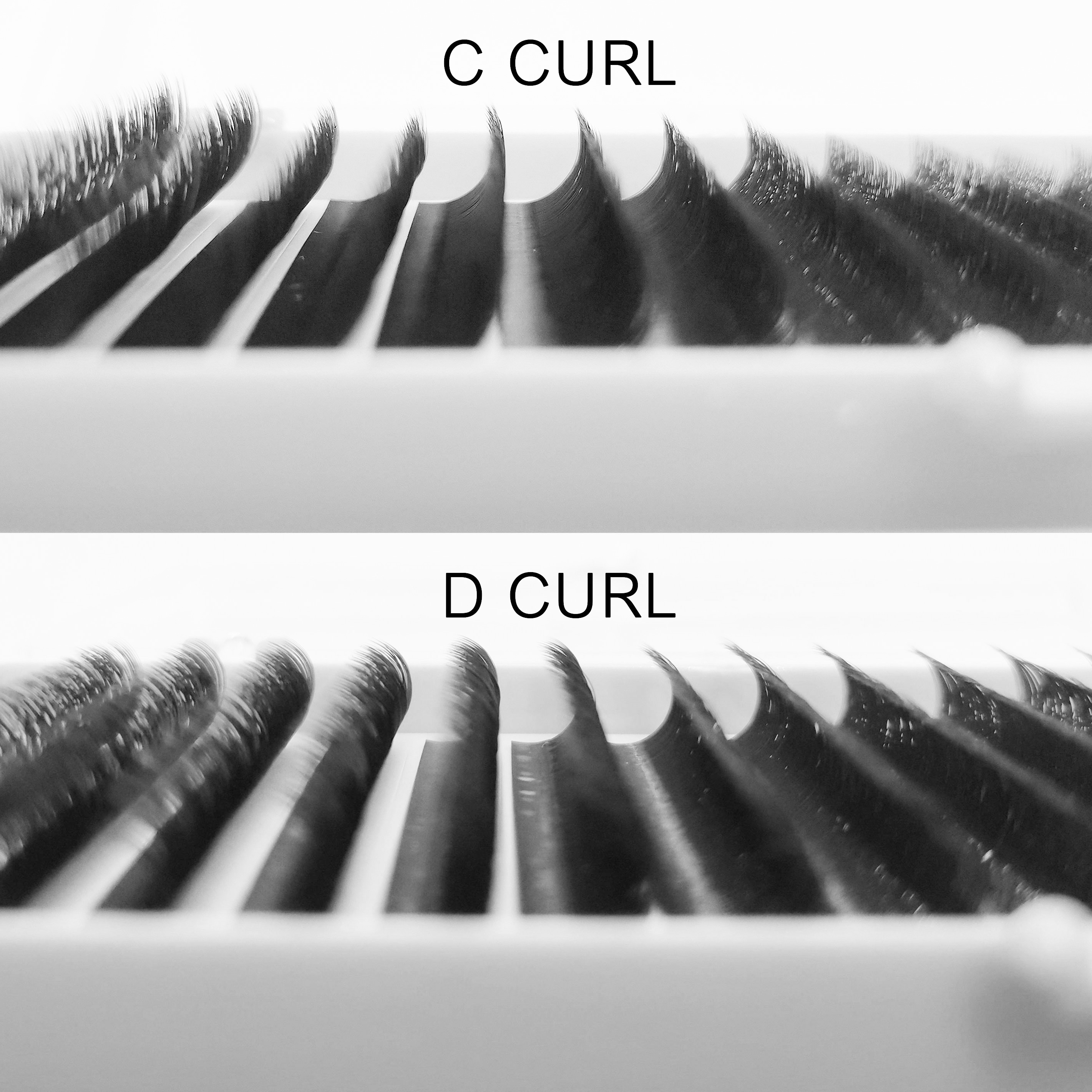 WeenWeave 6D W Style Eyelash E - Eyelash Extension Logo 리뷰 및 가격