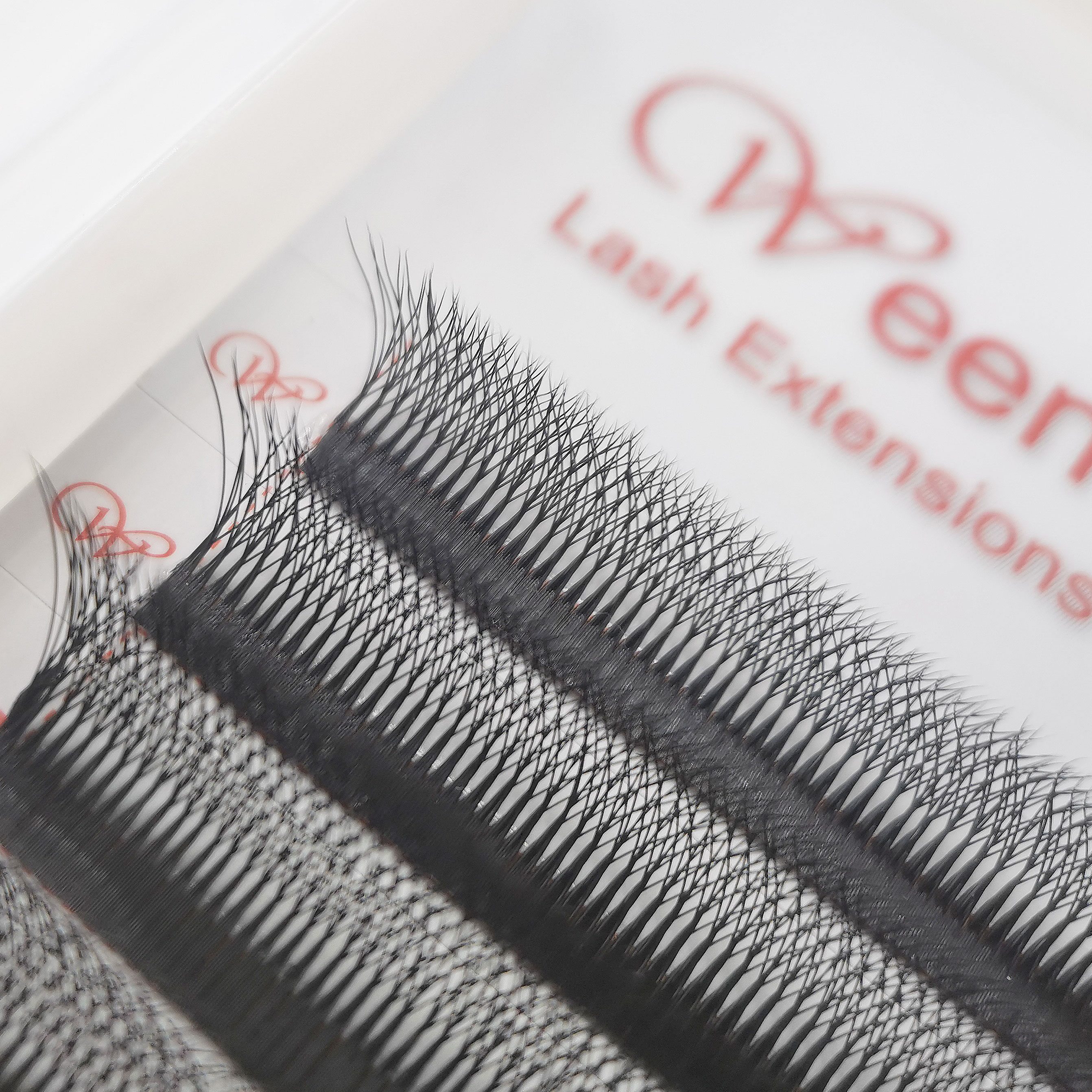 WeenWeave 6D W Style Eyelash E - Eyelash Extension Logo 리뷰 및 가격