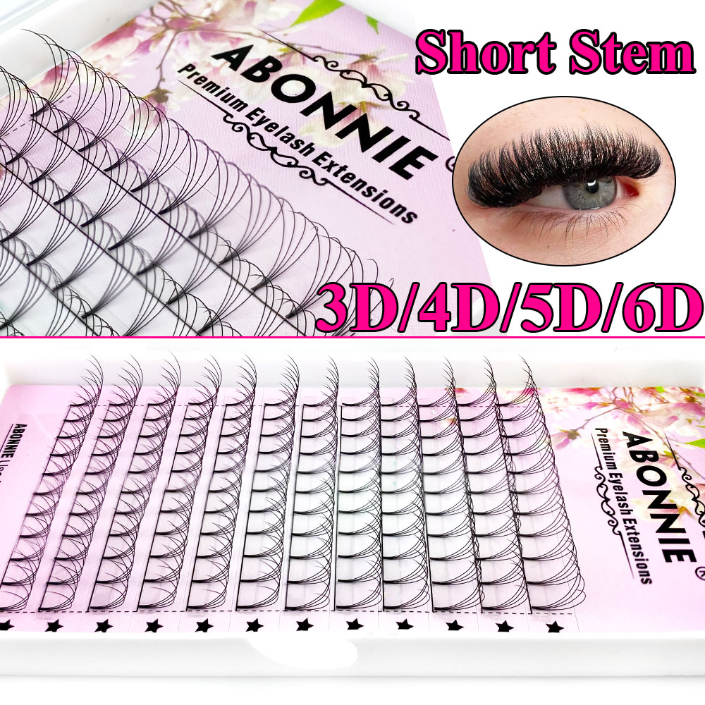 Abonnie 6D Narrow Fan Premade  - Eyelash Extension Russian 리뷰 및 가격