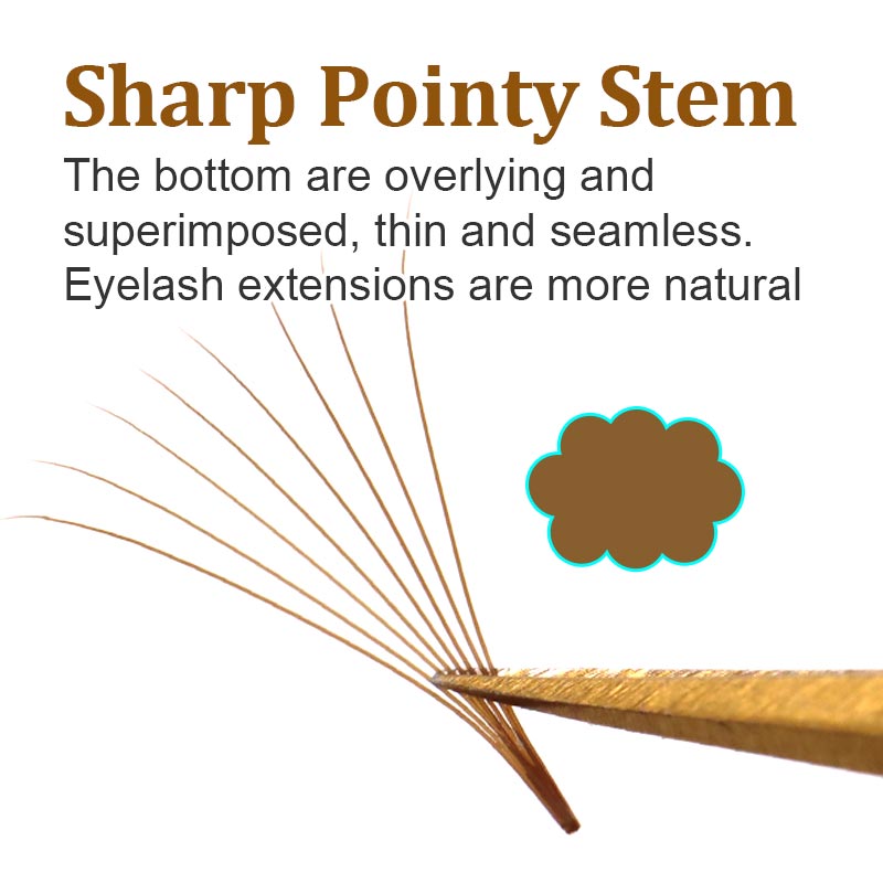 320 Colored Pointy Base Brown  - Eyelash Extension Russian 리뷰 및 가격