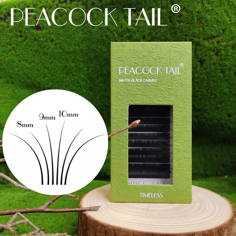 Camellia  Eyelashes Extensions - Eyelash Extension Logo 리뷰 및 가격