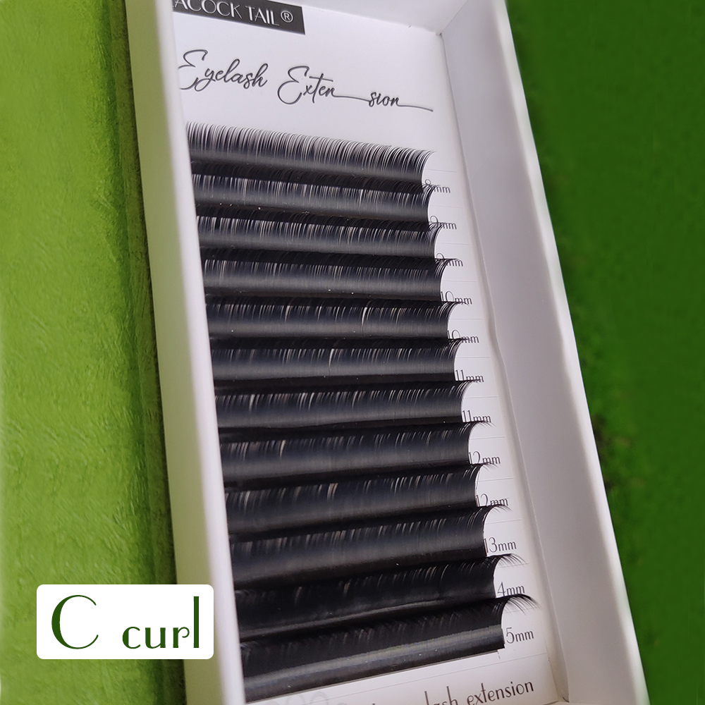 Camellia  Eyelashes Extensions - Eyelash Extension Logo 리뷰 및 가격