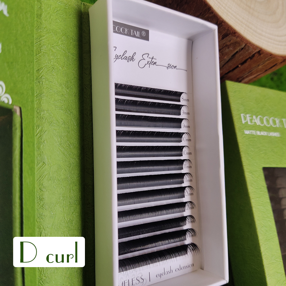 Camellia  Eyelashes Extensions - Eyelash Extension Logo 리뷰 및 가격