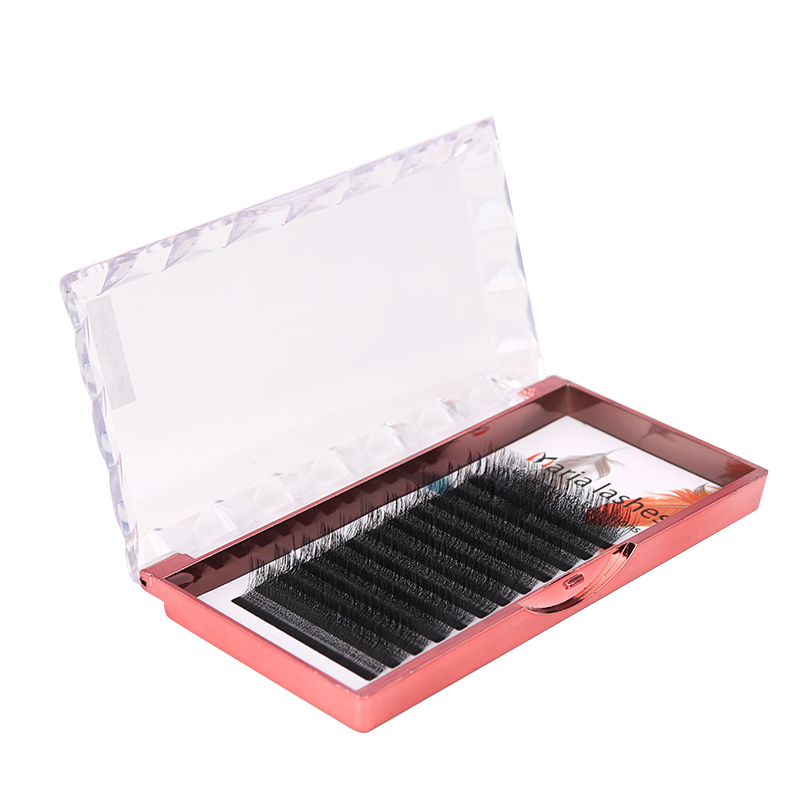 MARIA 10 Cases 4D W Shaped Bea - Eyelash Extension Logo 리뷰 및 가격