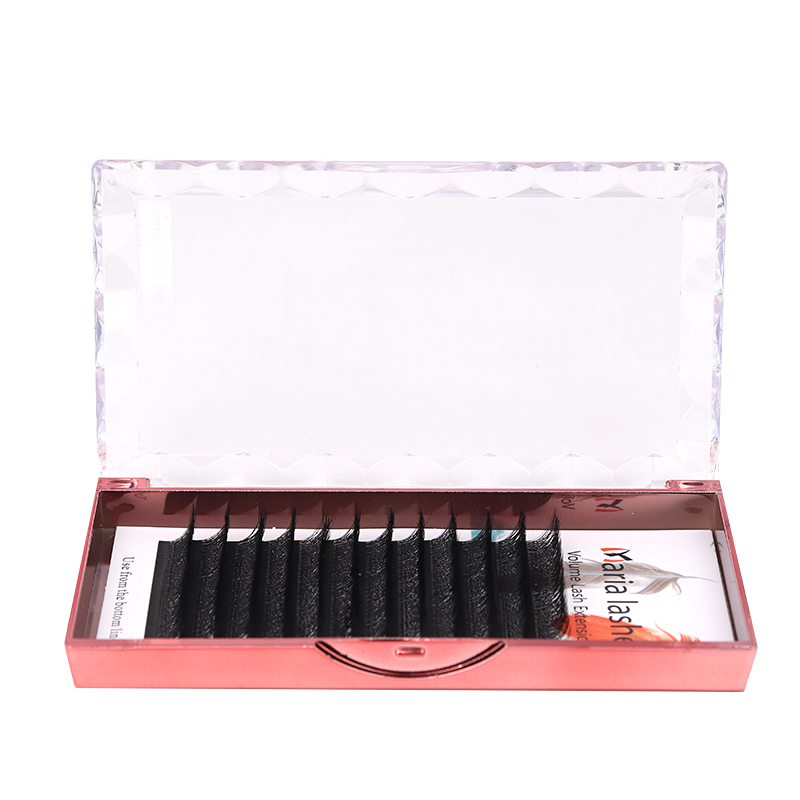 MARIA 10 Cases 4D W Shaped Bea - Eyelash Extension Logo 리뷰 및 가격